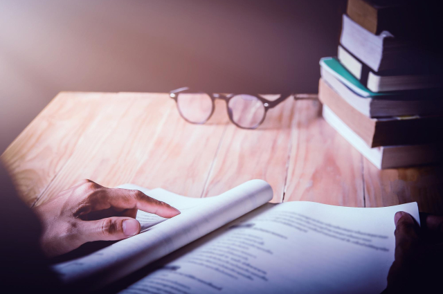 Szakmai tanulmányok, esszék